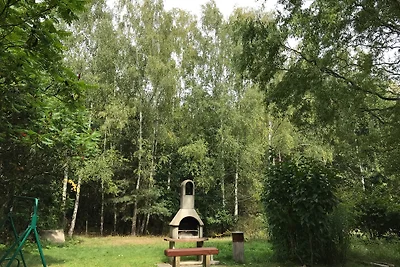Natura pura nell'Oderland: Rehwiese 12