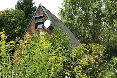 Natura pura nell'Oderland: Rehwiese 12