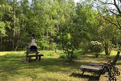 Natura pura nell'Oderland: Rehwiese 12