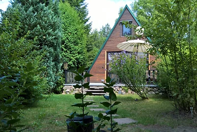 Natura pura nell'Oderland: Rehwiese 12