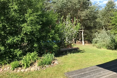 Natura pura nell'Oderland: Rehwiese 21