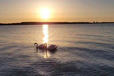 Fewo Ostseeoase 48