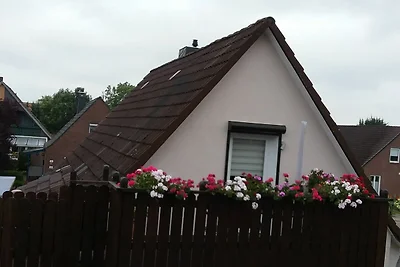 Feld PU1