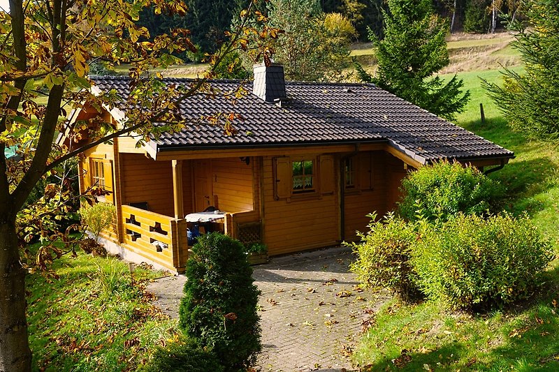 Ein charmantes Haus mit einem grünen Garten und einem Holzdach.