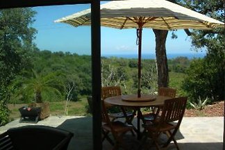 Ferienhaus mit Meerblick