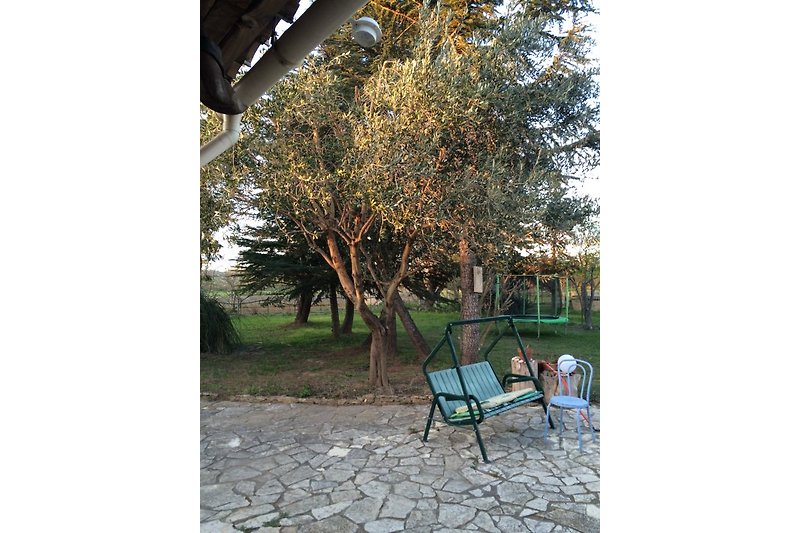 Olivenbaum mit Hollywoodschaukel und Trampolin