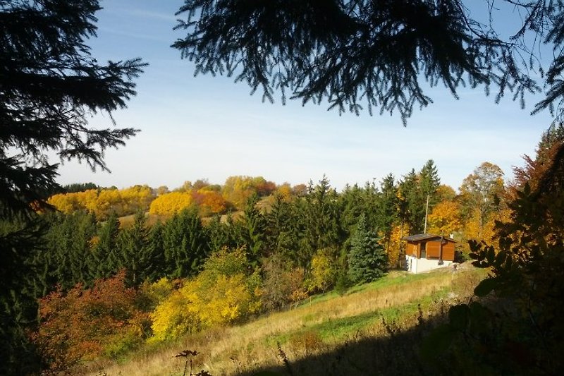 Golden autumn at the Farnberg hut.
