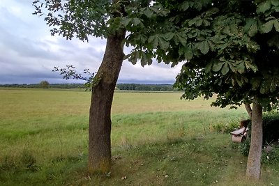 Ferienhaus in der Heide