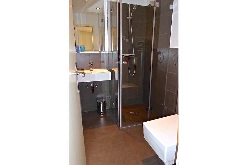 Bathroom with toilet, walk-in shower, hairdryer, and vanity mirror (on the upper floor)