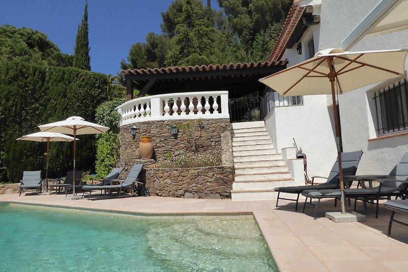 sanfter Eckeinstieg in den Pool, Aufgang zur überdachten Terrasse, rechts unten neben der Treppe sep. Gäste-WC 