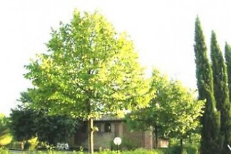 Fienile Avanella con Piscina - Chianti