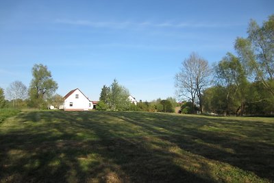 Ostseeparadies Rügen