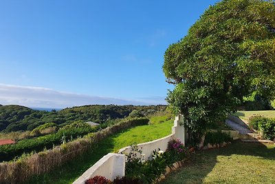 Villa Amarela
