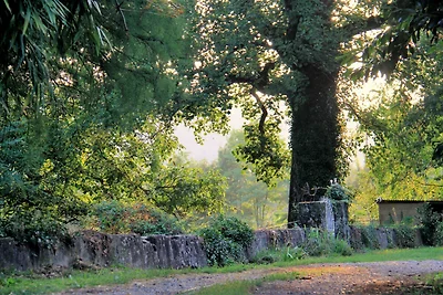 Le Bosquet