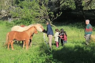 Le Bosquet