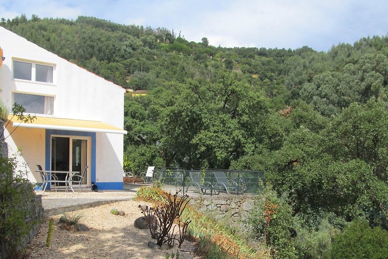 Casa Horta Velha Neues Haus