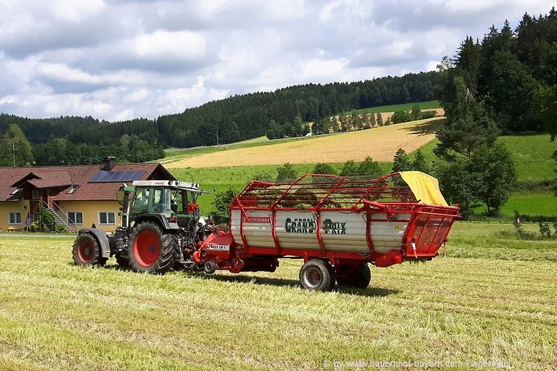 Ansicht vom Bauernhof Ferienhaus im Bayerischen Wald. Idyllische Alleinlage