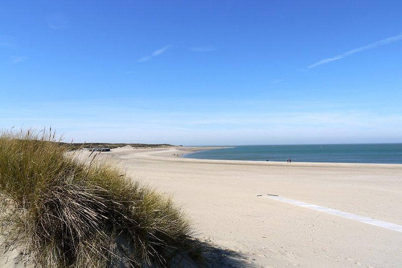 Plaża w Scharendijke oddalona o kilka kilometrów