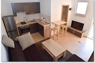 Eine Ferienwohnung wie man sie sich nur wünchen kann!!!