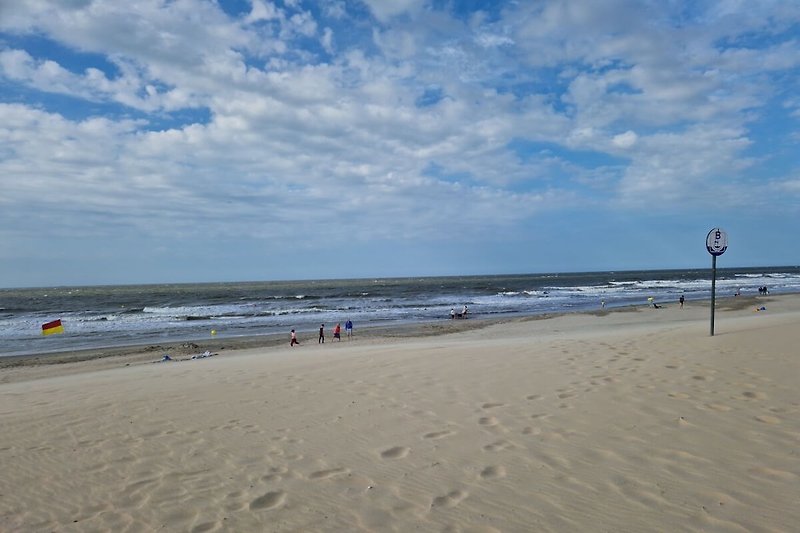 Sandy beach near the house