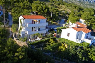 Apartament Apartments 1234