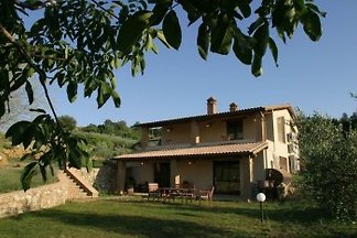 Fonte del Salcio, Nonno Meo