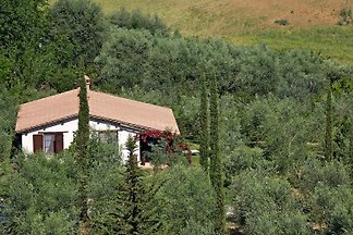 Fonte del Salcio, Trenta Vizi