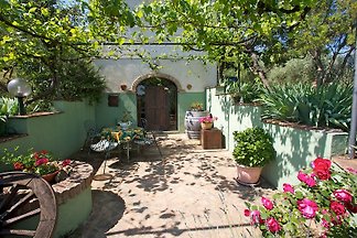 Fonte del Salcio, Zi' Momo