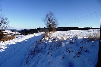 XXL-Ferienhaus im Sauerland