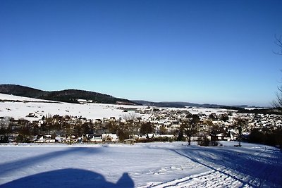 XXL-Ferienhaus im Sauerland