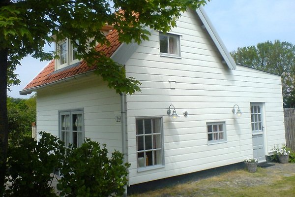 Frau M. De Vries Frau M. De Vries