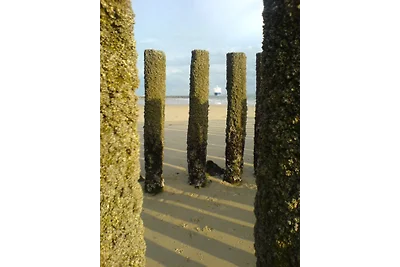 het Hooglicht