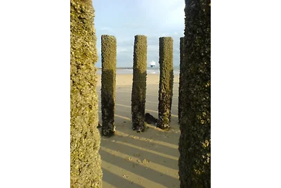 'het Laaglicht'