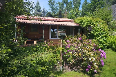 Casa vacanze Nuova Venezia