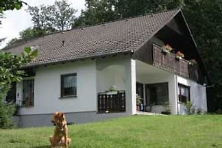 Ferien mit Hund