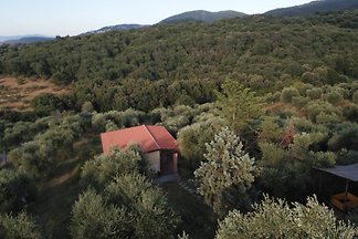 Podere Speckert