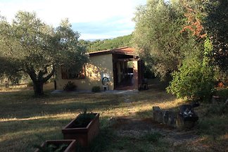 Podere Speckert
