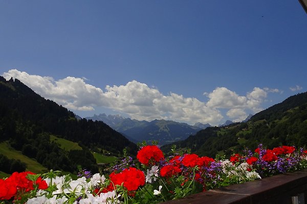 Ferienwohnung Silbertal