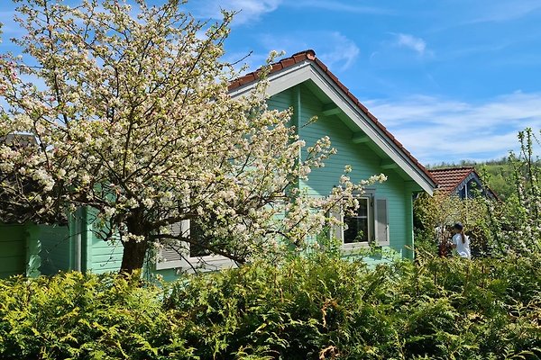 Ferienhaus Schotten