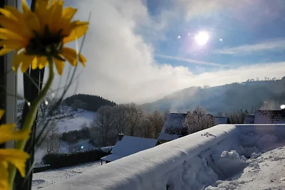 Panoramablick Ferienwohnung Luge