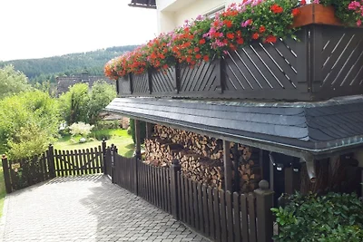 TOP Naturlage Ferienwohnung Luge__K