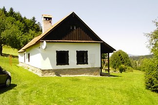 Vezovata Plane