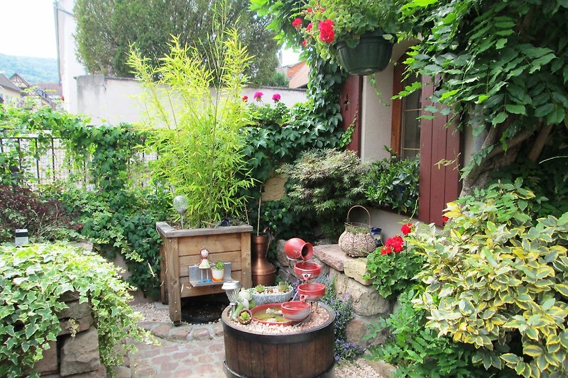 Schöner Garten mit blühenden Pflanzen und charmantem Haus.
