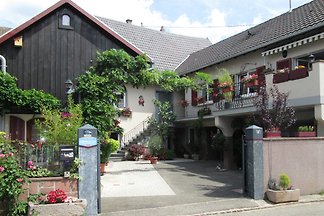 FERIENWOHNUNG 3*** im Elsaß