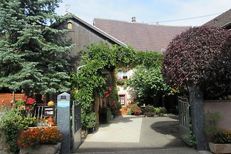 FERIENWOHNUNG 3*** im Elsaß