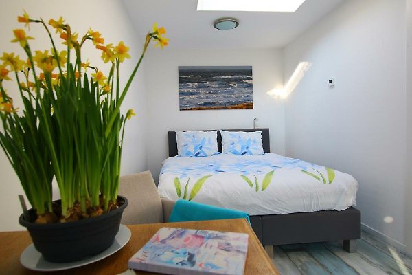 Ferienwohnung Egmond aan Zee