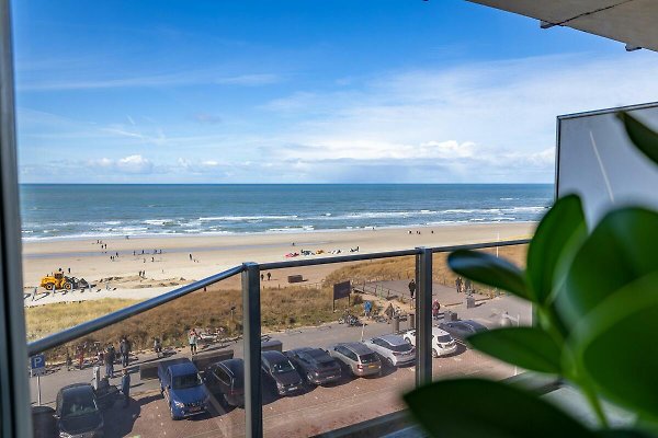 Ferienwohnung Egmond aan Zee