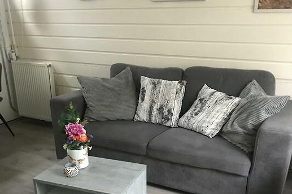 Ferienhaus Egmond aan Zee