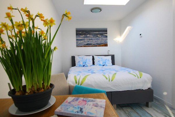 Ferienhaus Egmond aan Zee