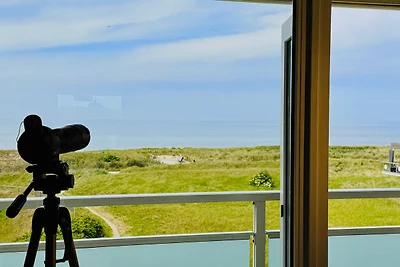 Strand Panorama Egmond